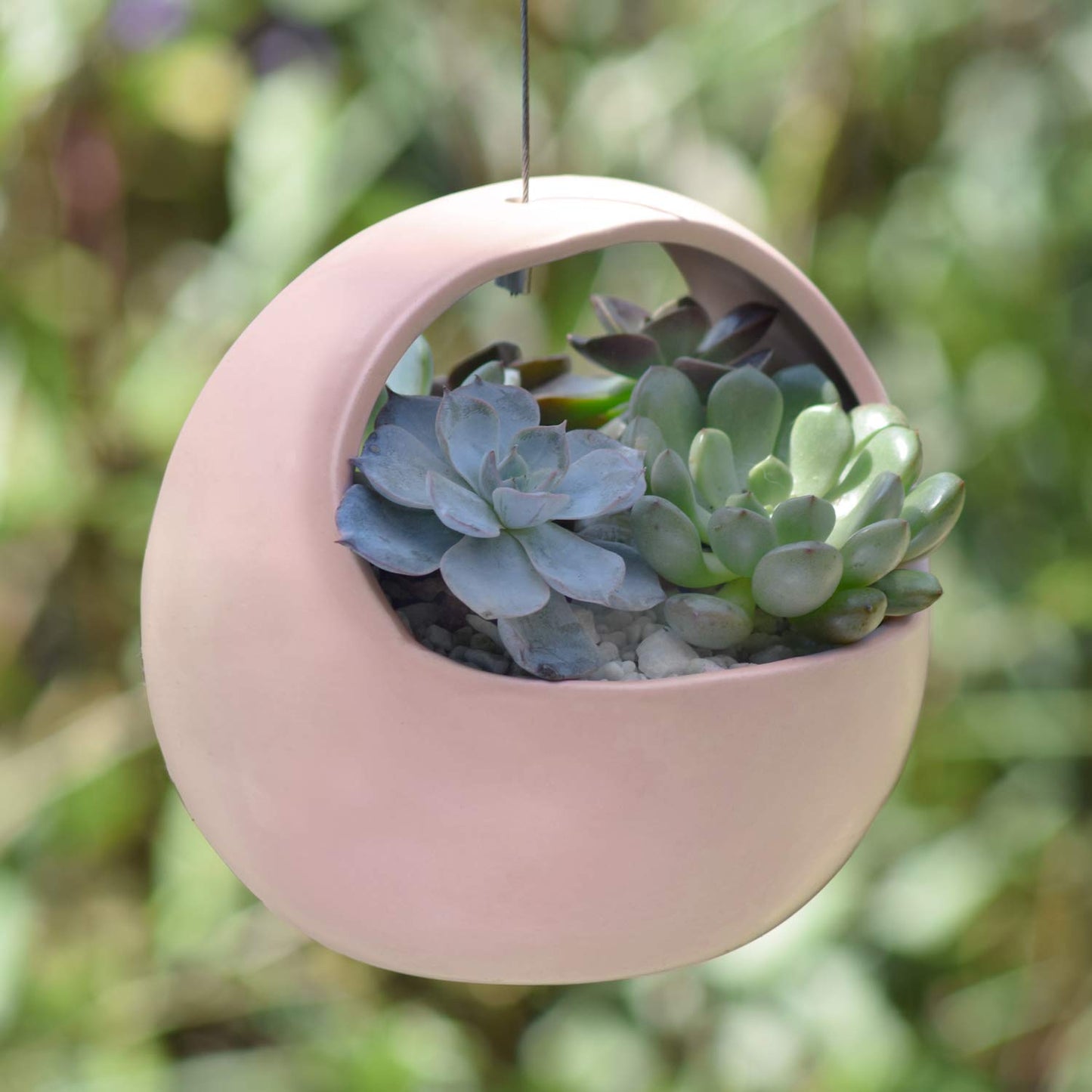 Arcadia Garden Products AP10C Ceramic Air Planter, 4.5x4.5 Basket Style-Coral
