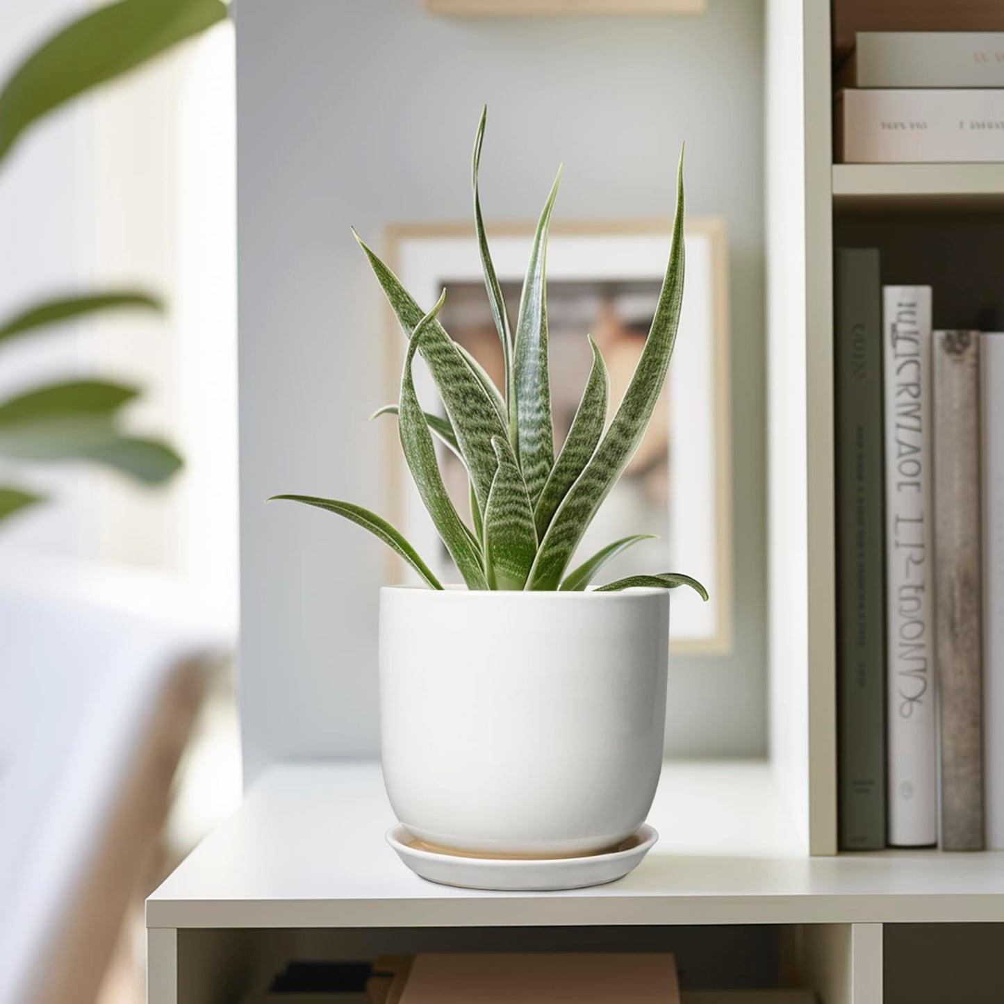SUNPOTFOR Indoor Plant Pot 5 Inch - Round Ceramic Planter for Succulent Plants with Drainage Hole and Saucer, Modern Home Decor, White