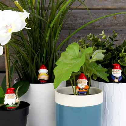 Naughty Gnomes Planters, One Size, Multicolor