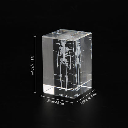 3D Human Skeleton Crystal Model Skeletal Anatomical Model for Home and Office Decoration, Unique Gift for Doctors and Students