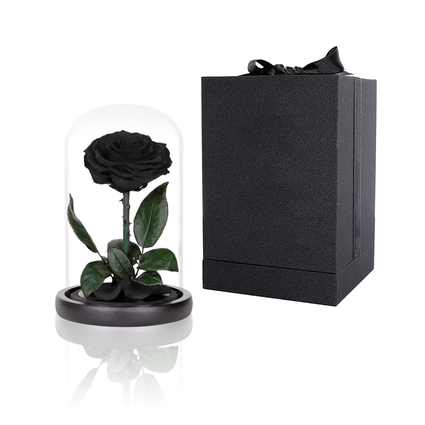Preserved Roses Black Roses in Glass Dome, Medium, Preserved Flowers for Women