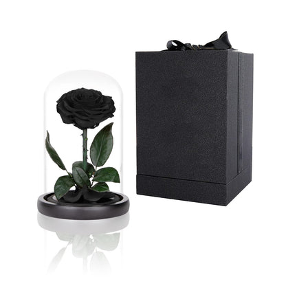 Preserved Roses Black Roses in Glass Dome, Medium, Preserved Flowers for Women