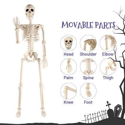 Toolterritary 36" Halloween Skeleton, 3 ft Human Skeleton Full Body Posable Joints Plastic Skeleton for Halloween Decoration, Yard Patio Lawn Garden Skeleton Spooky Party Decoration Indoor Outdoor