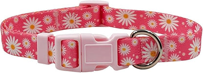 Dog Collar Leash Set, Floral Pattern, Polyester Material, Adjustable Collar and 5ft Matching Leash, for Large Dogs.(L, Daisy)