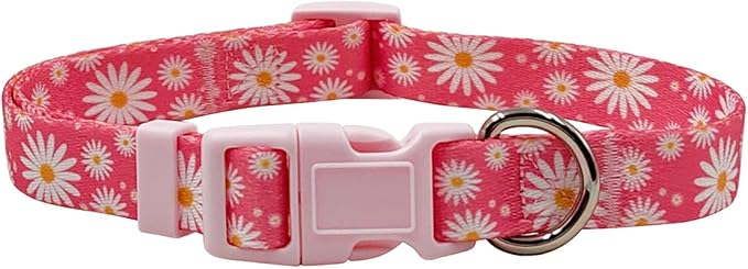 Dog Collar Leash Set, Floral Pattern, Polyester Material, Adjustable Collar and 5ft Matching Leash, for Puppy Dogs.(XS, Daisy)