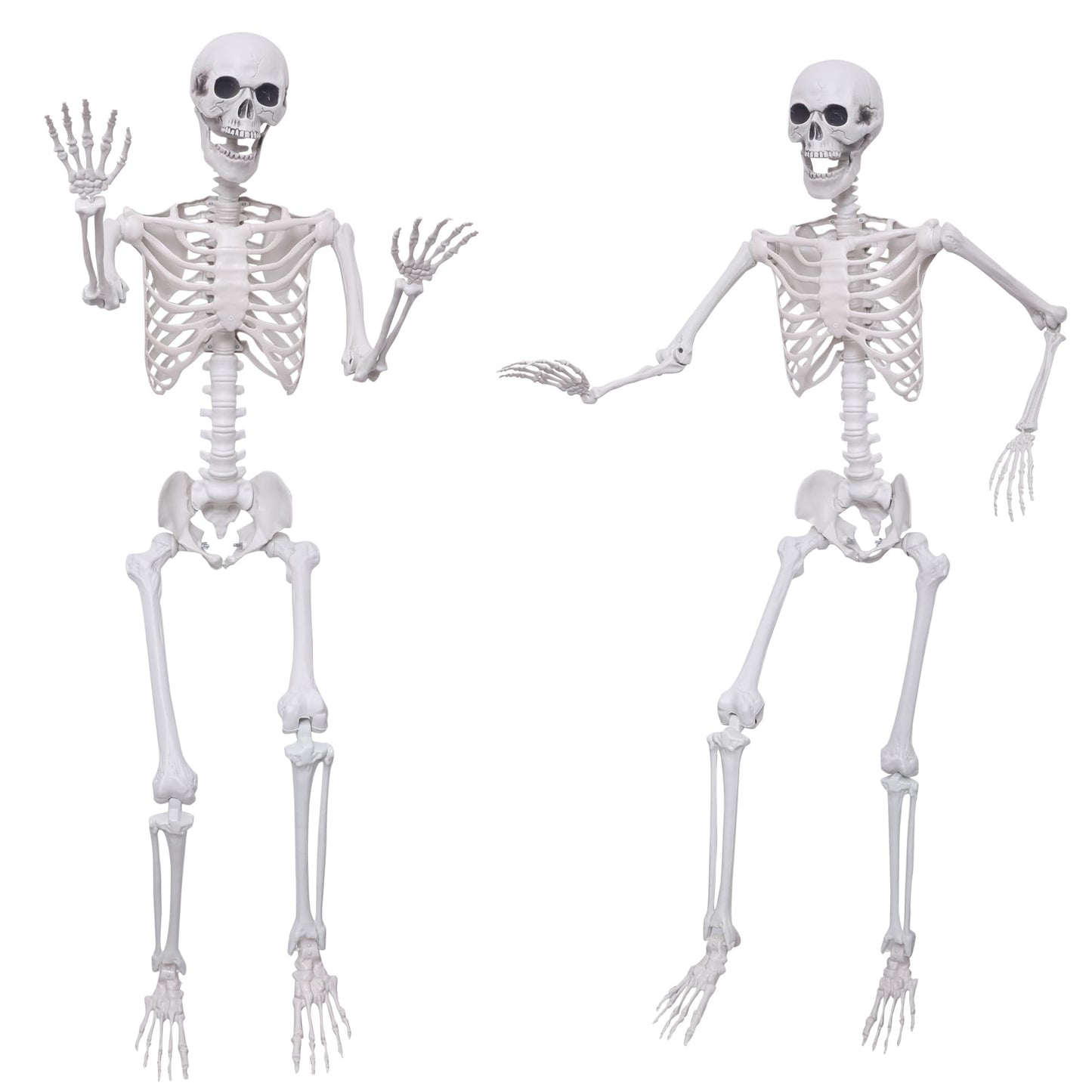 Hibsotco 2Pack 5.4Ft Life Size Skeletons Posable Skeletons Full Size Plastic Human Skeleton with Movable Joint for Halloween Outdoor Indoor Decorations
