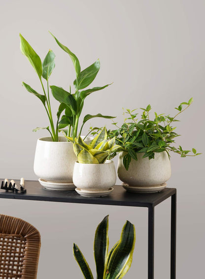LE TAUCI Ceramic Plant Pots, 4.1+5.1+6.5 Inch Set with 50 Pack 2" Flower Pot Hole Mesh Pad Bundle, Planter with Drainage Hole and Saucer, Beige