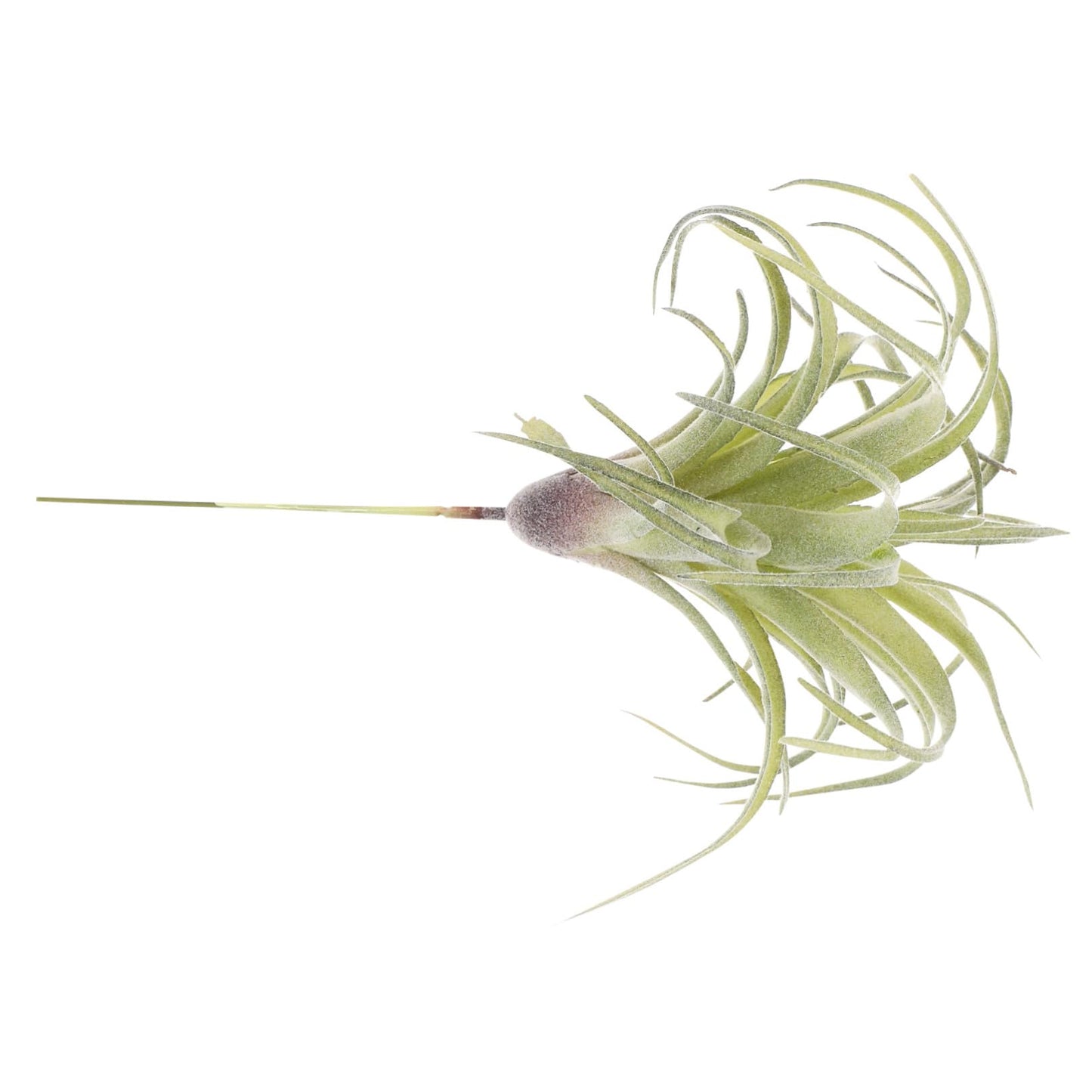 DECHOUS 1pc Artificial Air Plants Artificial Terrarium Plants Large Air Faux Flocked Tillandsia Photo Props Plant Glass Container Hanging Decor Pineapple Household