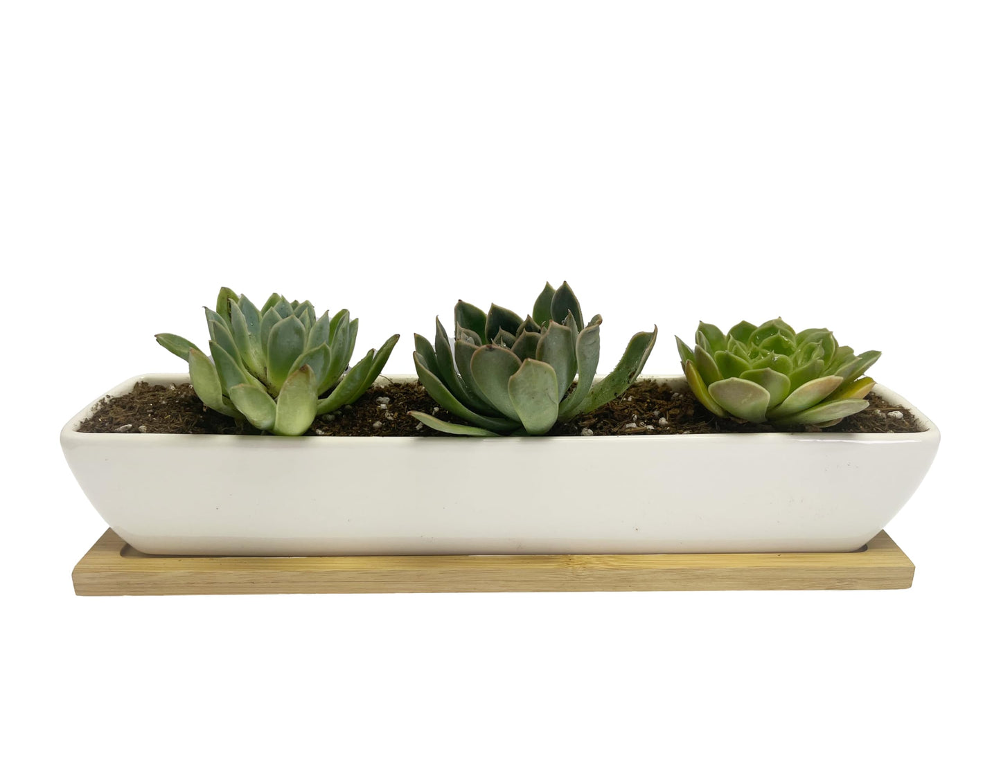 Kipokalor Rectangular Succulent Planter Pot,Two Set of 11.1x2.36x1.77inch Long Rectangular Modern Minimalist White Ceramic with Saucer for Office,Desk,Window. (Bamboo Saucer, Two Set)