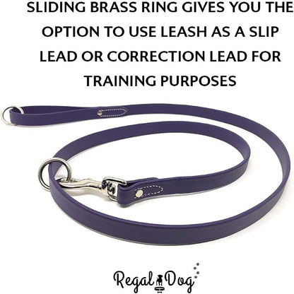 Regal Dog Products Large Purple Waterproof Dog Collar and Leash Set | Heavy Duty Double Buckle & D Ring - 5'ft Leash | Adjustable Biothane Dog Collar | Chew Resistant Waterproof Collar for Dogs