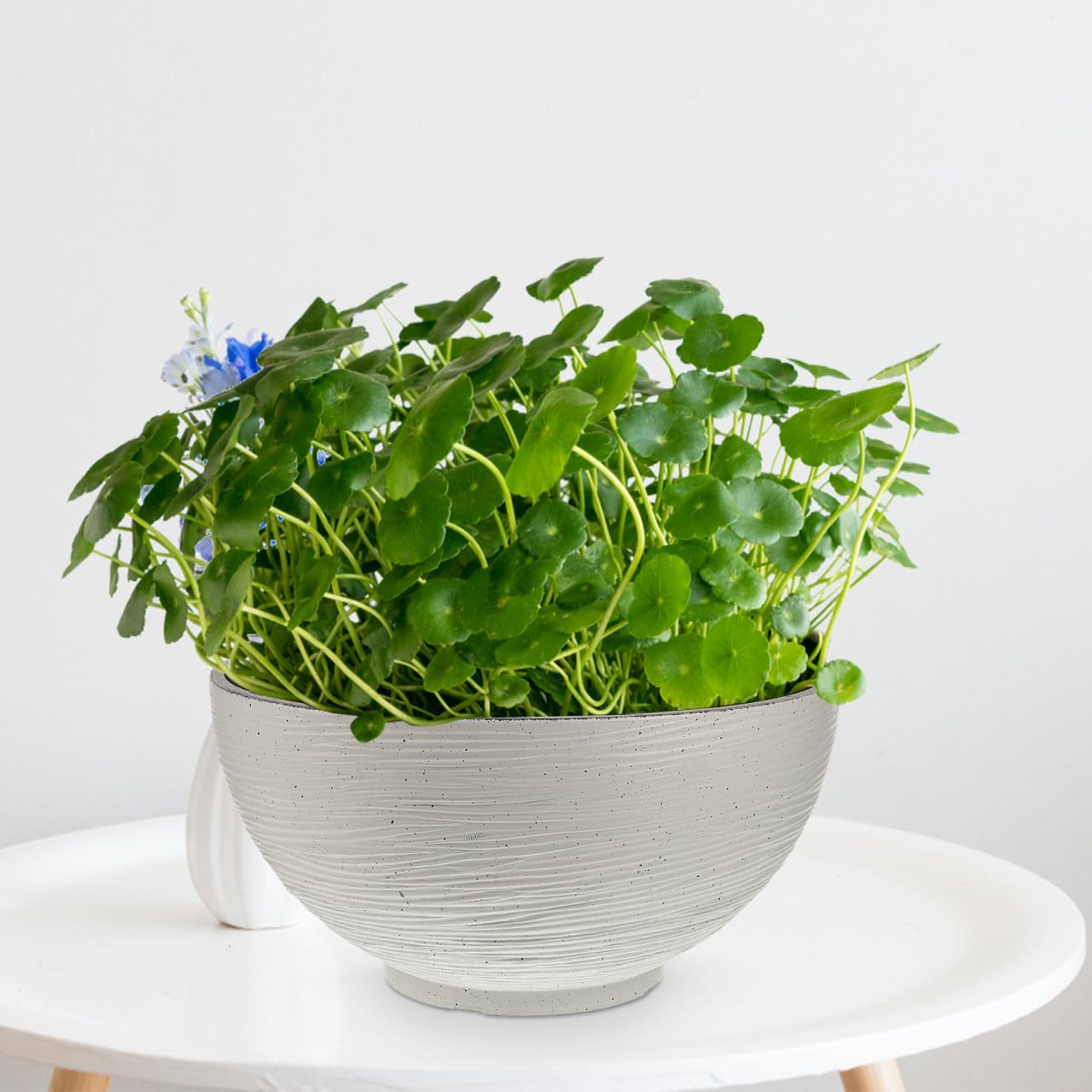 Housoutil Hydroponic Flower Pot 13.77 Inch White Quartz Desktop Planter for Water Lily Succulents Bonsai Indoor Outdoor Garden Decoration