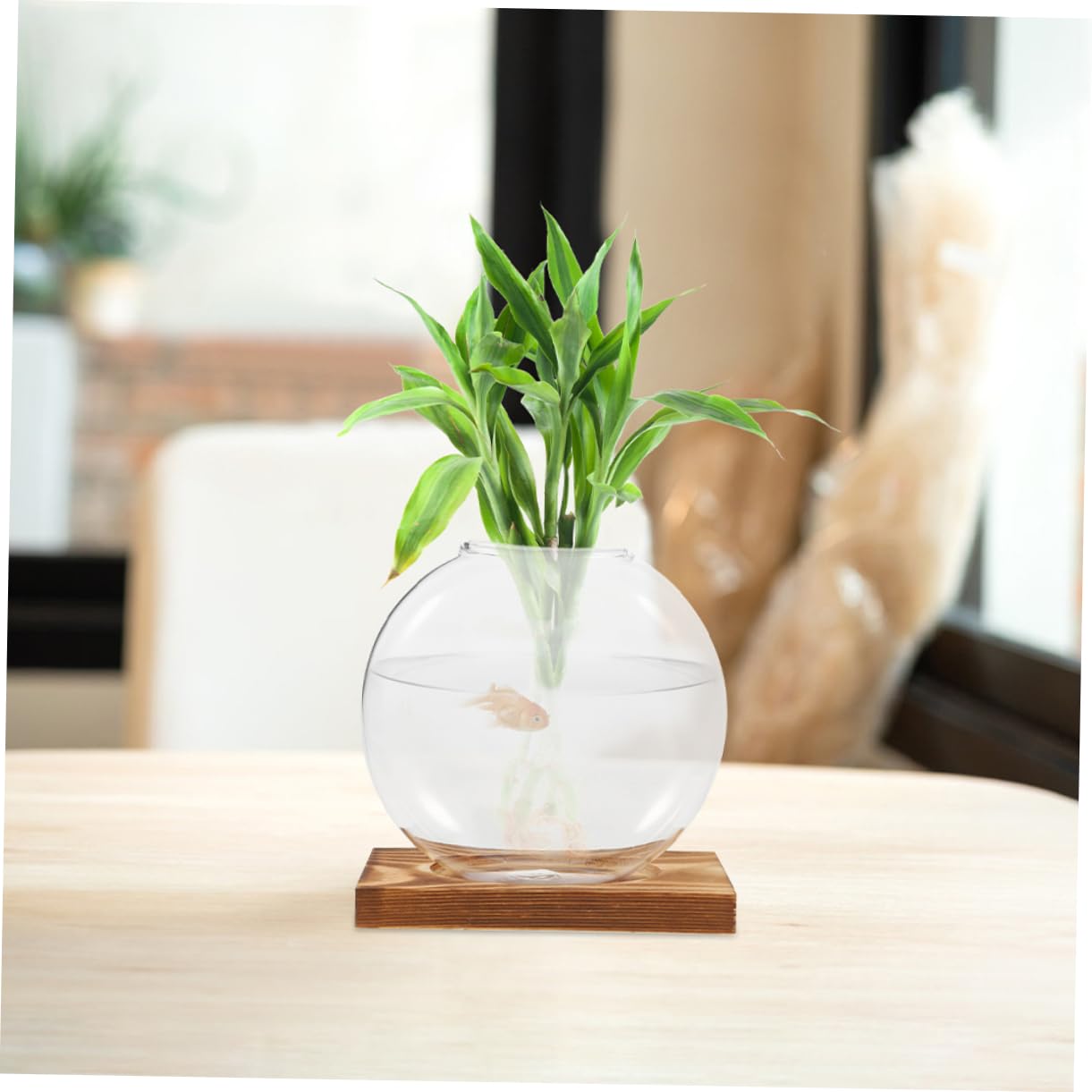 VALICLUD 2pcs Glass Planter: Transparent Glass Vase with Wooden Stand Hydroponic Plant Propagation Station - Stylish Terrarium for Home and Office Decor