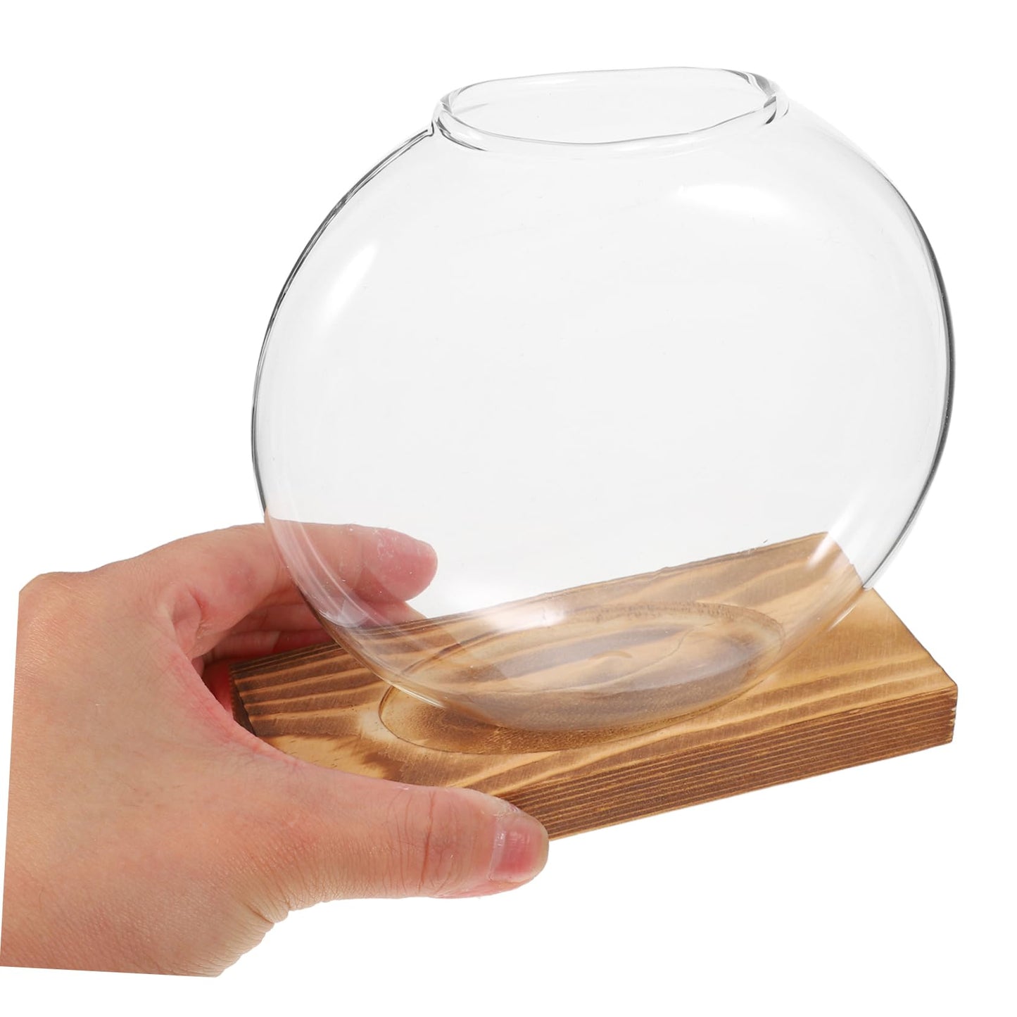Toyvian Transparent Hydroponic Propagation Vase with Wooden Base Soil Glass Planter for Indoor Plants Terrarium Jar for Root Observation Versatile Decorative Hydroponic Station for Home