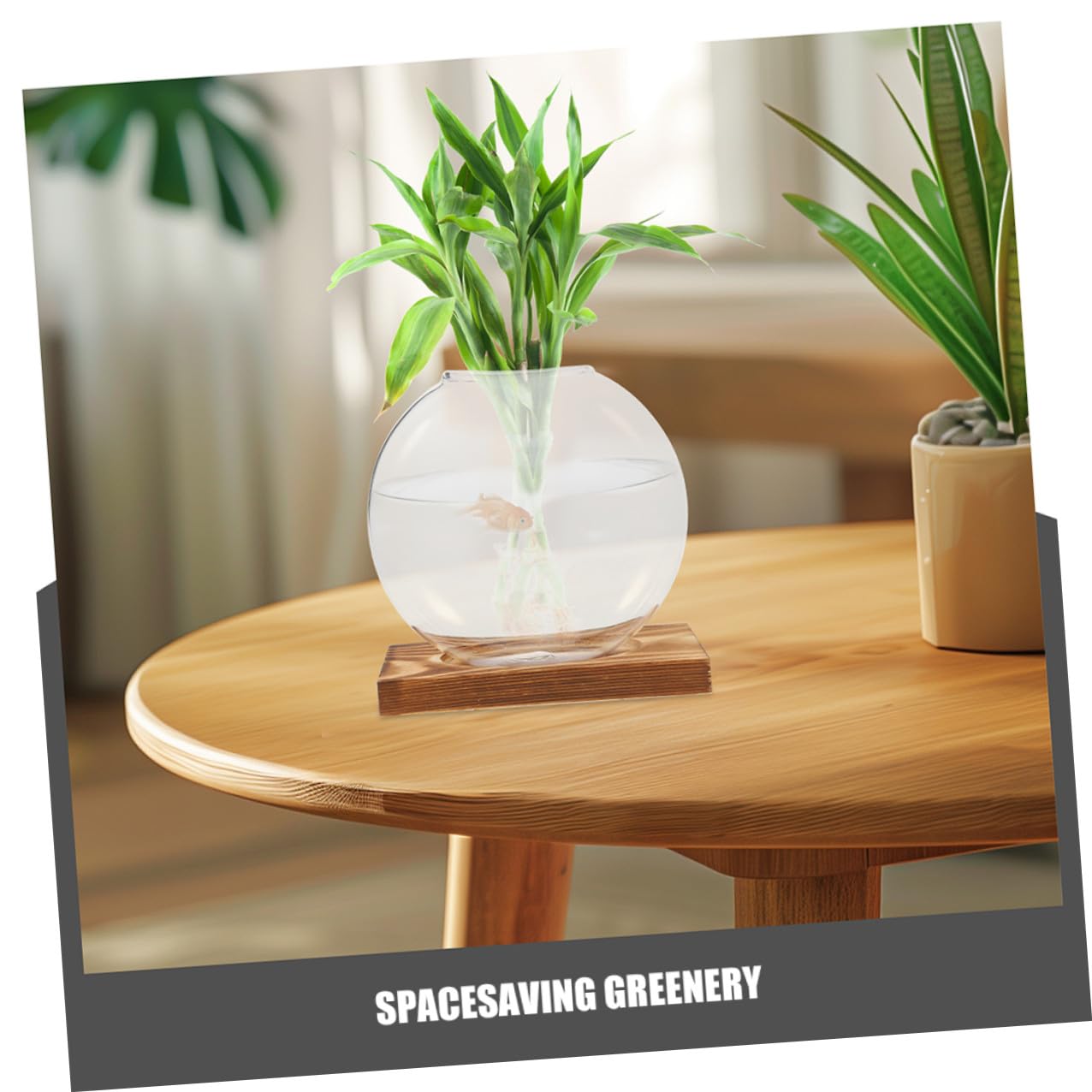 CVUTOVO 2pcs Plant Propagation Station Glass Vases with Wooden Stand, Hydroponic Indoor Plant Terrarium for Home and Office Décor