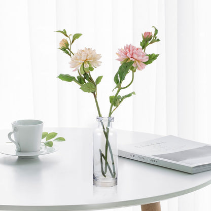 Toyvian Glass Hydroponic Vase for Desktop Plants, Small Ocean Blue Glass Planter, Home and Garden Decoration Terrarium