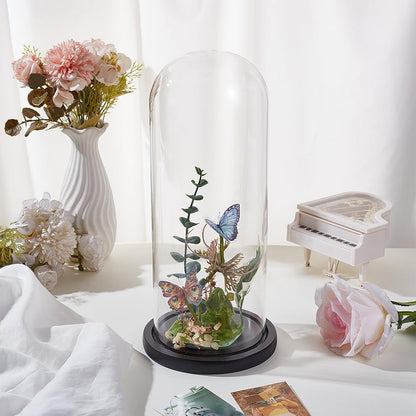 BENECREAT 4.6x12inch Eternal Transparent Flower Glass Cover, Glass Display Dome Cloche Jar with Black Solid Wood Base for DIY Flower Craft