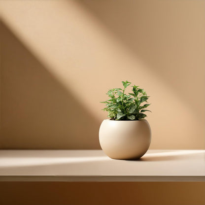 LAMENICO Ceramic Self Watering Plant Pot | 6.8 Inch Pot with 4.5 Inch Inner Pot for Small Plants | Ivory Pot for Indoor Plants | Round Self Watering Planter | Bottom Watering Pots for Indoor Plants