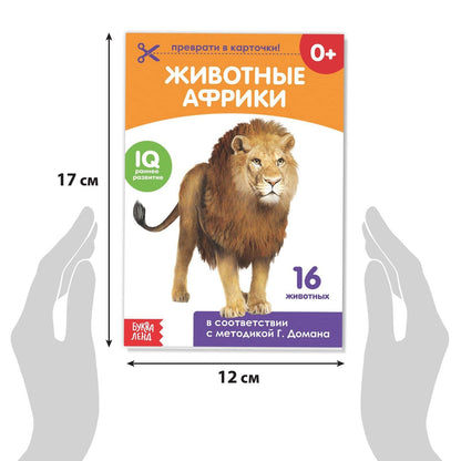 Doman Method Flashcard Russian Book Set for Learning Set - 8 Topics from Farm Animals to Alphabet - Карточки Домана - Книги на Русском Языке