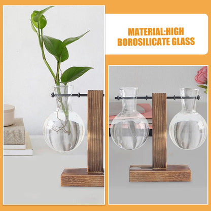 DRESSOOS 3pcs Glass Hydroponics Vase with Wooden Stand, High Borosilicate Plant Propagation Station for Desktop Terrarium and Home Garden Décor