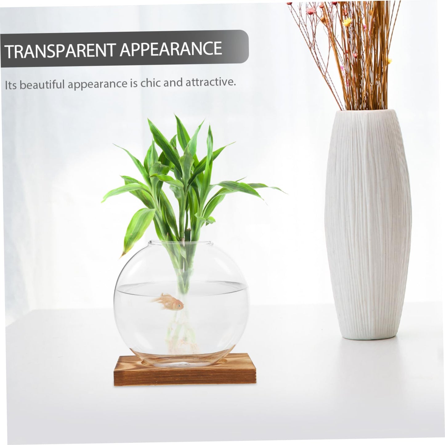 Toyvian Transparent Hydroponic Propagation Vase with Wooden Base Soil Glass Planter for Indoor Plants Terrarium Jar for Root Observation Versatile Decorative Hydroponic Station for Home