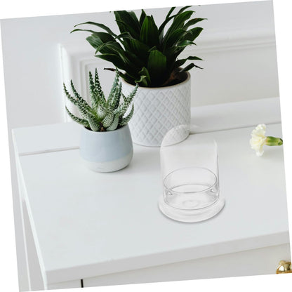 OUNONA Moss Ecosystem Bottle DIY Miniature Terrarium Glass Bottle Decorative Plant Vase for Home and Office Desktop Plant Container