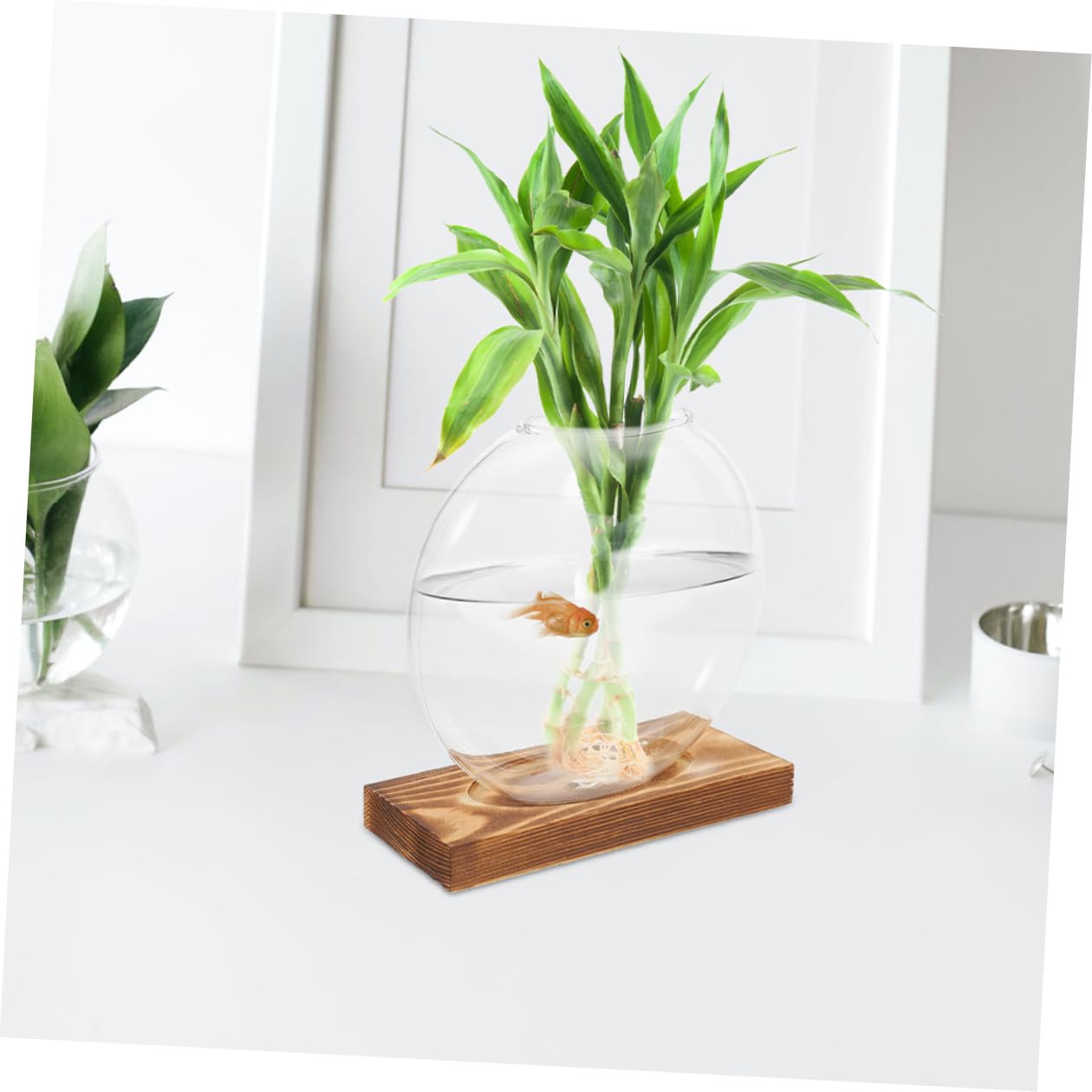 JOINPAYA 2pcs Small Glass Vase with Wooden Terrarium Stand, Hydroponic Planter for Indoor Plants, Propagation Jars for Home Office Desk Décor