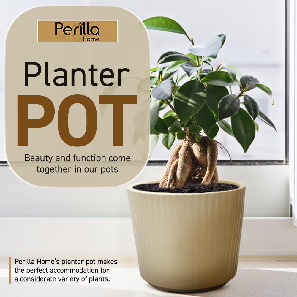 Perilla Home Single Ceramic Handmade Planter Pot for Indoor & Outdoor with Drainage Hole for Home & Office Decor Modern Flower Planter Pot (6.75x6.75 inch) (Off White) (1Pcs)