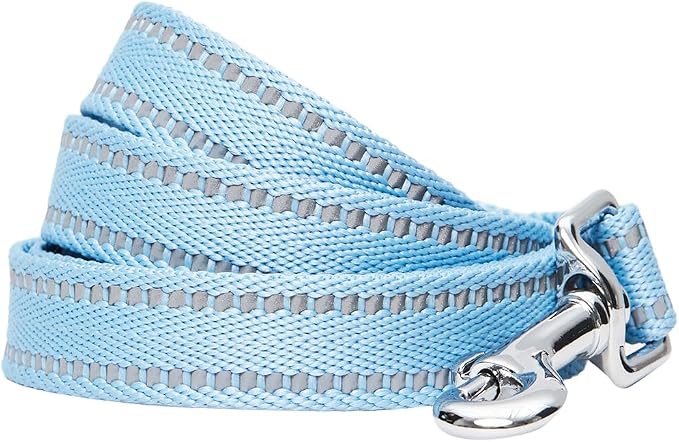 Blueberry Pet Essentials Reflective Dog Collar & Leash Set, Adjustable for Large Dogs | Safe Walking Gear for Pet Parents, Puppy Training & Daily Use LargeDogs, Baby Blue