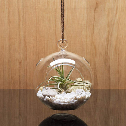 WGV Hanging Terrarium Globe, Width 4", Height 4.75", DIY Air Succulent Planter, Clear Glass Vase Orb with Flat Bottom, Candle Holder for Windowsill Outdoor Garden Decor, 3 Pieces Bulk