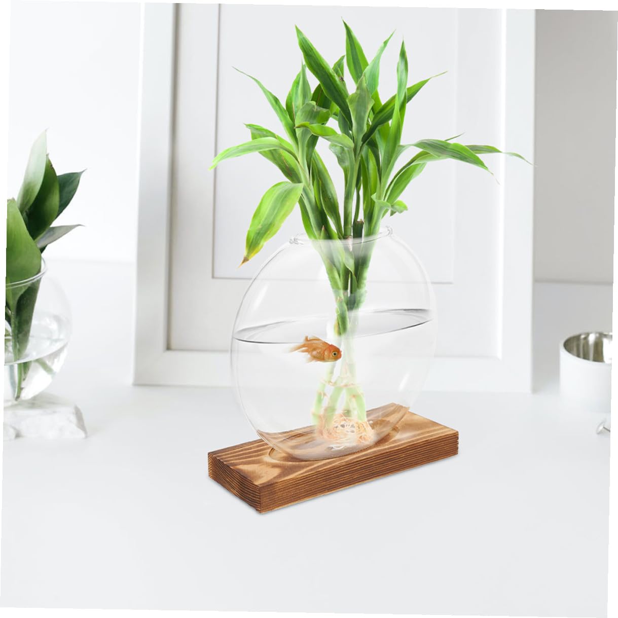 Sewroro 2pcs Hydroponic Glass Vases with Wooden Base, Propagation Stations for Indoor Plants, Terrarium Containers for Home Office Décor
