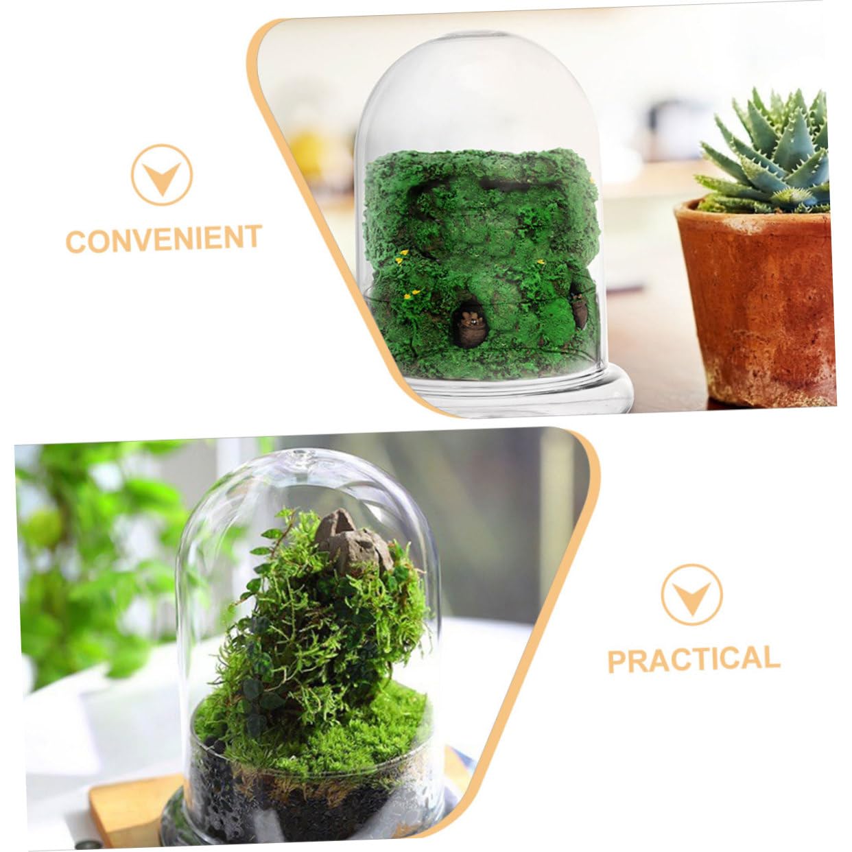 Sosoport Glass Eco Bottle Terrarium Supplies Bell Jar Dome Plant Holder DIY Decor