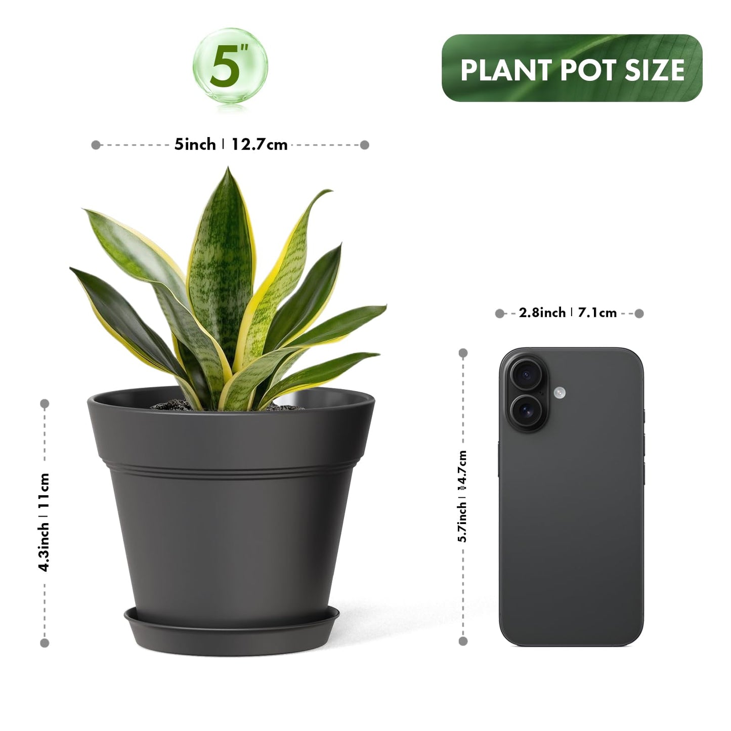 WSMKSZ 5 Inch Plastic Plant Pots with Drainage Holes and Trays – 6 Pack Small Nursery Pots for Indoor & Outdoor House Plants and Flowers, Seedling Starter Planters, Matte Black