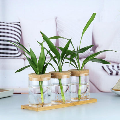 SOLUSTRE 2pcs Glass Flower Vases Hydroponic Plant Pots with Perforated Cork Stoppers 6.5cm X 10cm Indoor Home Decor Moss Terrarium Bottles for Succulent Arrangement