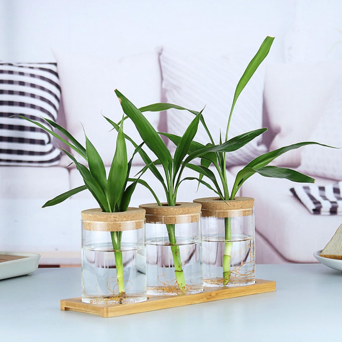 GALPADA Glass Flower Vase Set 2pcs 6.5cm X 10cm with Corked Hole for Indoor Hydroponic Plants and Moss Terrarium Home Decor Floral Arrangement Container