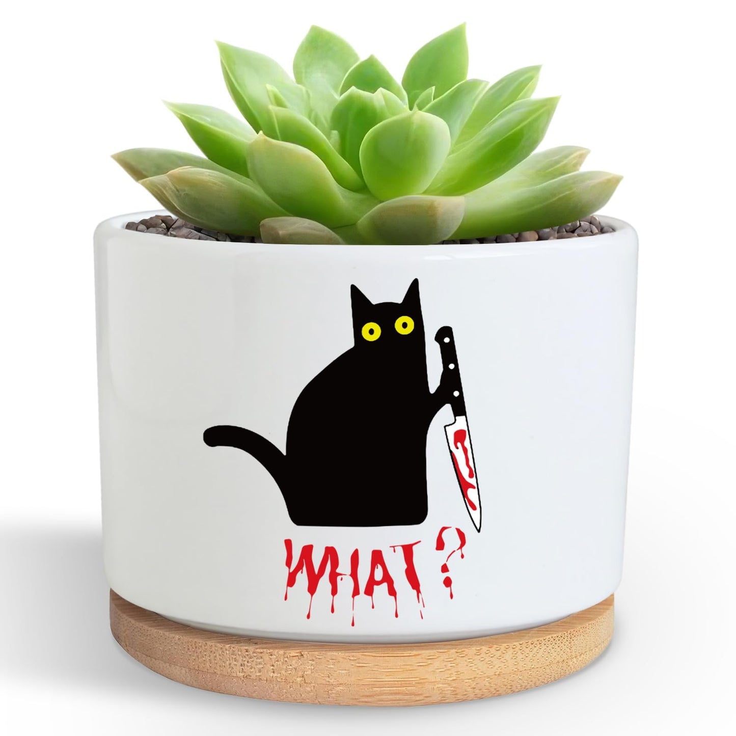 Funny Hello Black Cat Ceramic Plant Pot for Succulent, Cute Cat Cactus Flower Planter for Windowsill Indoor Decor, Home Office Decoration for Plant Lovers Friends Owner Lover (No Plants) (What)