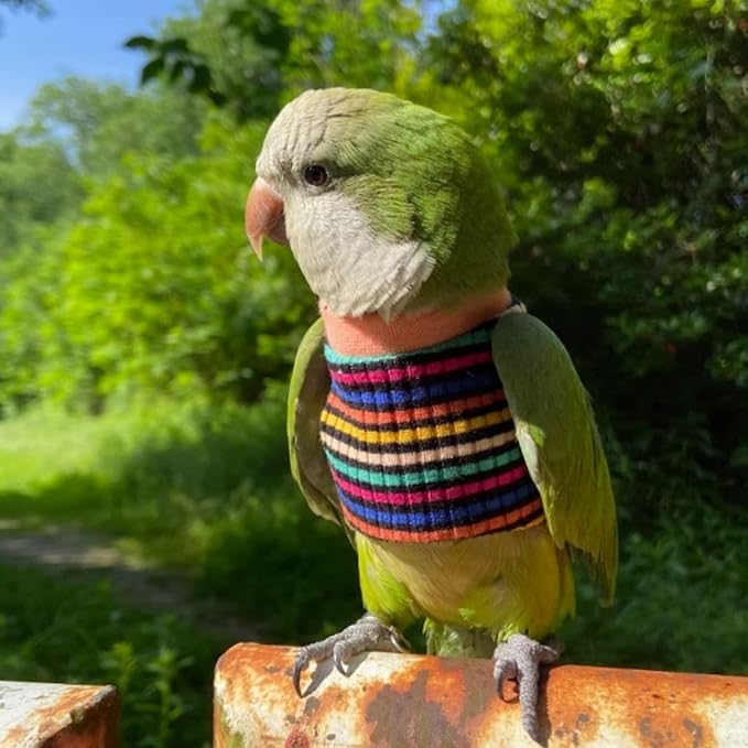 Bird Clothes - Handmade Cotton Stripe Shirt Round Collar Sweater Flight Suit for Parrots African Greys Parakeet Cockatiel Sun Conure Christmas Halloween (Without Diaper,XL)