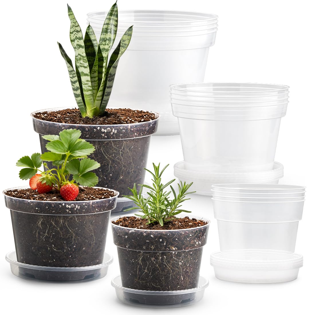 RooTrimmer 15 Pack 8/7/6 Inch Clear Nursery Pots with Saucer, Transparent Plastic Plant Pot with Drainage Hole, Sturdy Planting Starter Pots for Gardening Flower Herb Vegetable