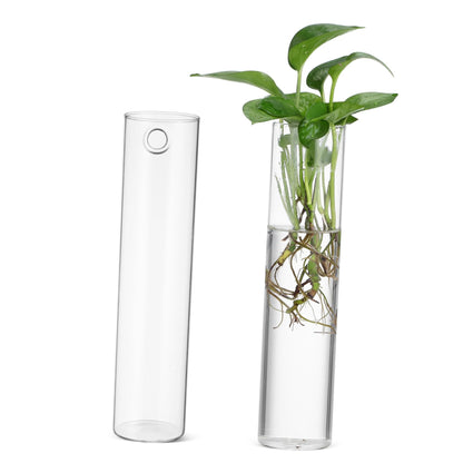 2pcs Clear Glass Cylinder Wall Vases Hanging for Indoor Plants Easy Mounted Flower Tubes Secure Attachment for Floral Arrangements and Terrariums