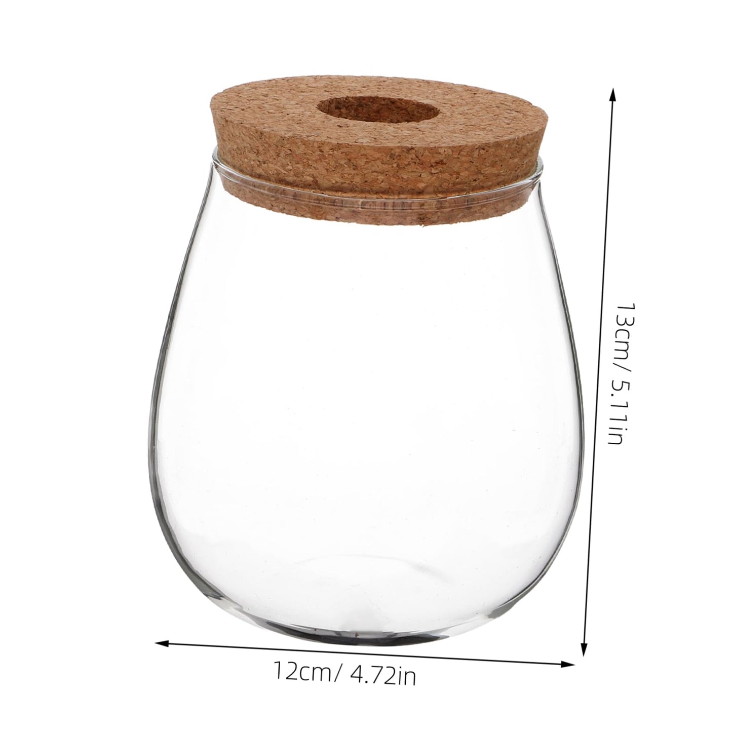 CIYODO Elegant Hydroponic Glass Vase for Indoor Plant Propagation Space Saving Terrarium for Home Decoration Minimal Maintenance Design for Plants