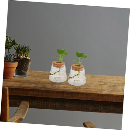 Zerodeko 2Pcs Hydroponic Plant Glass Vases Desktop Terrarium Clear Propagation Containers for Indoor Plants Home Decoration Garden Lovers