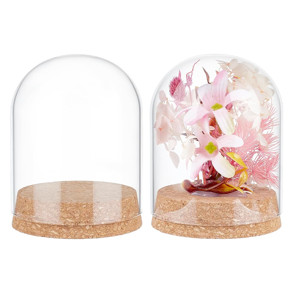 BENECREAT 2Pcs Glass Display Dome Cloche, 4.2x3.2 Inch Bell Jar With Cork Base, Display Case for Flower Specimens Home Decor DIY, Inner Diameter: 3 Inch