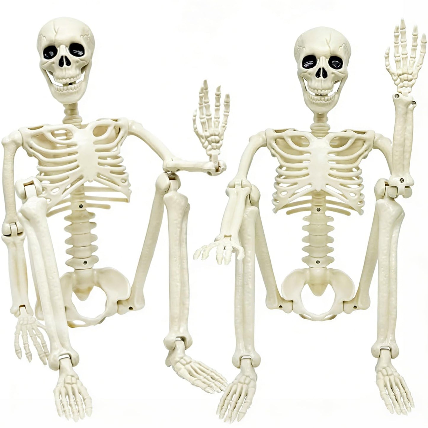 CAMIRUS 2 Pack 36" Posable Skeleton, 3ft Halloween Decoration with Movable Joints