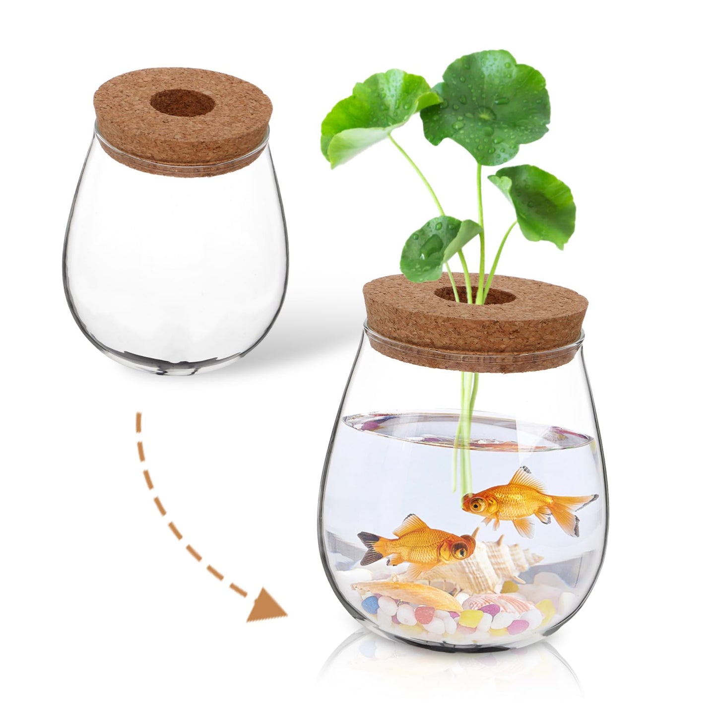 POPETPOP Modern Hydroponic Glass Vase Compact Desktop Planter for Terrariums Flower Holder for Aesthetic Home Decoration for Observing Plant Growth