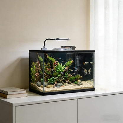 Rise Torrent Glass Fish Tank, 2.8 Gallon Betta Fish Tank Aquarium Starter Kit with Filter and Light, Small Desktop Aquarium Kit for Betta, Goldfish, Small Fish or shrimg