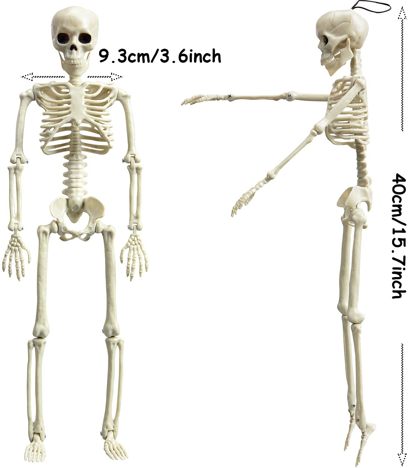 Tvoip 2 Packs Halloween Skeletons, Halloween Hanging Skeleton Decoration 16” Posable Skeleton Halloween Decoration Full Body Posable Joints Skeletons Halloween Decorations Outdoor Indoor
