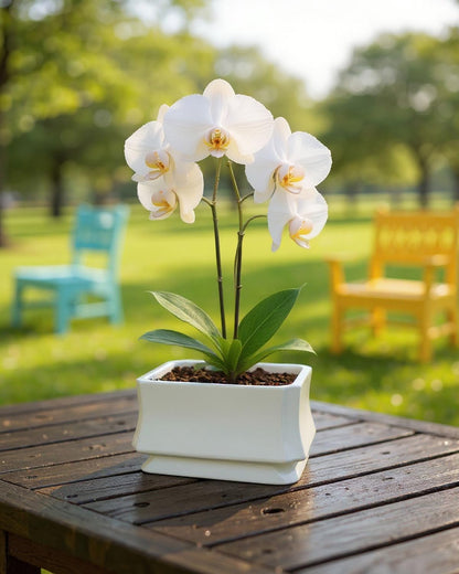 OXART Plant Pots, 11.8+9 inch Ceramic Planter, Indoor Pots Set with Drainage Holes, Flower Pot Rectangle Planters Pots with Hole Mesh Pad, Gifts for Mom, Decorative Ceramic Pots for Plants (White-4)