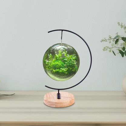 JISADER Terrarium Ornament Display Stand with Wood Base Creative Hanging Hook Glass Globe Holder for Christmas Party Decor Air Plant