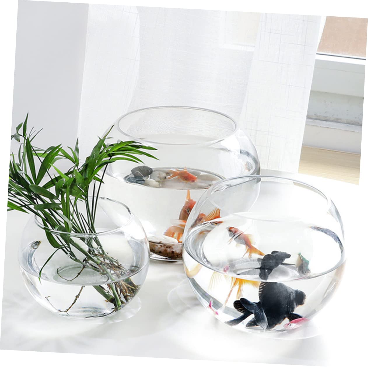 Ipetboom Transparent Hydroponic Glass Vase Rounded Desktop Plant Holder for Home Office Hotel Decor Smooth Rust Resistant Surface Fish Tank Terrarium Centerpiece