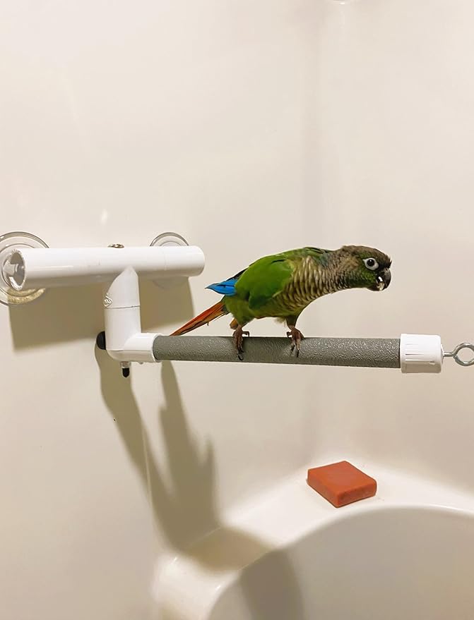 Polly's Portable Window-Shower Perch with Suction Cups for Cockatiels, Macaws, African Greys (Deluxe, Small)