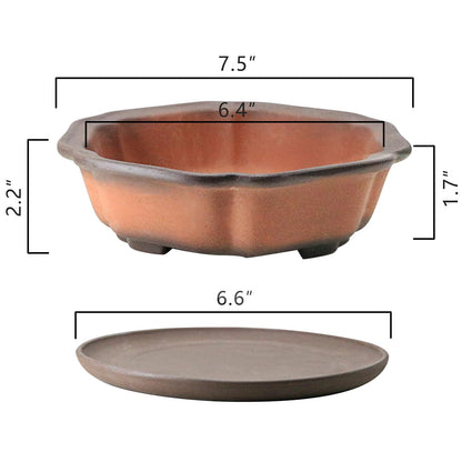 MUZHI 7.5” Unglazed Flower Shape Clay Bonsai Pot with Ceramic Saucer, Color Gradational Shallow Terracotta Planter for Tree Cactus Succulent Arrangement